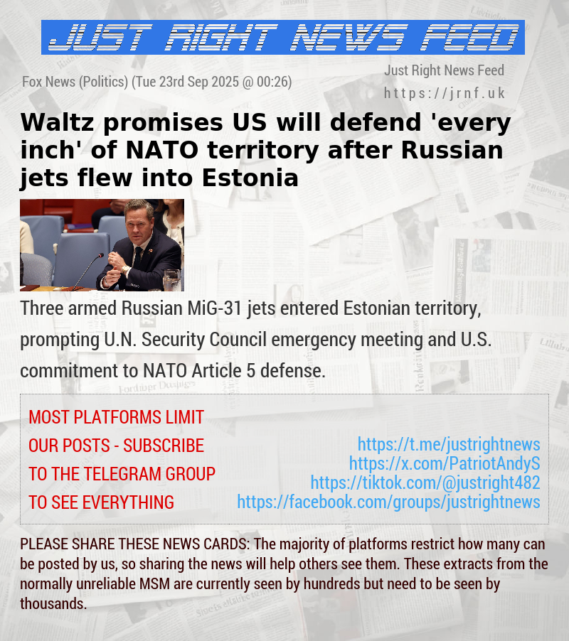 Waltz promises US will defend ’every inch’ of NATO territory after Russian jets flew into Estonia