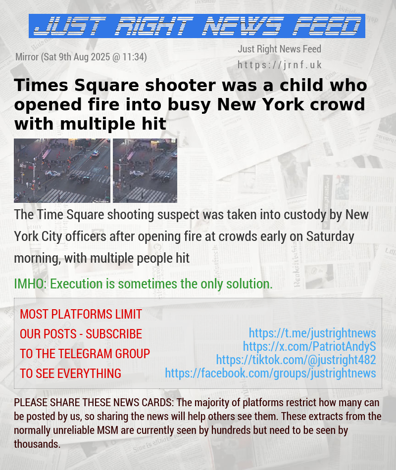 Times Square shooter was a child who opened fire into busy New York crowd with multiple hit