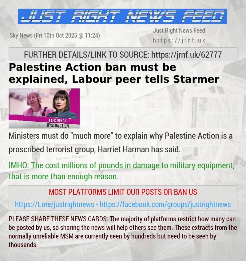 Palestine Action ban must be explained, Labour peer tells Starmer