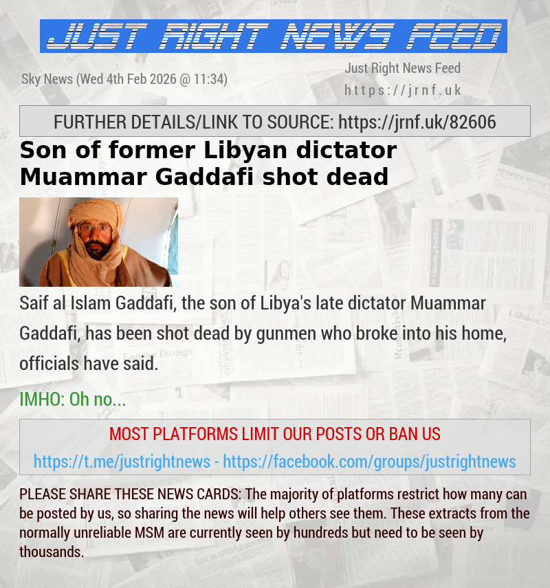 Son of former Libyan dictator Muammar Gaddafi shot dead