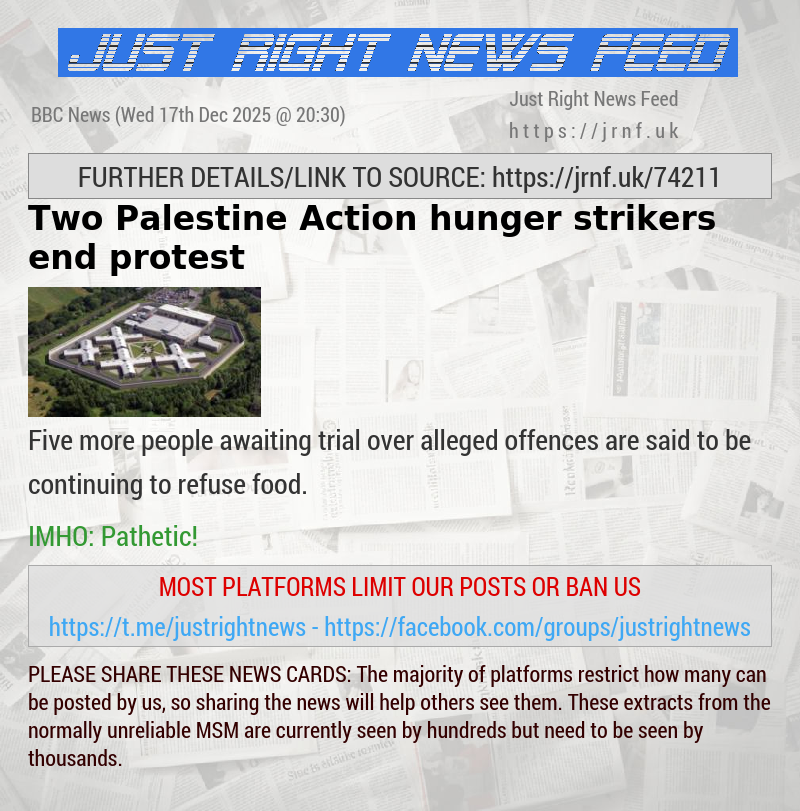 Two Palestine Action hunger strikers end protest