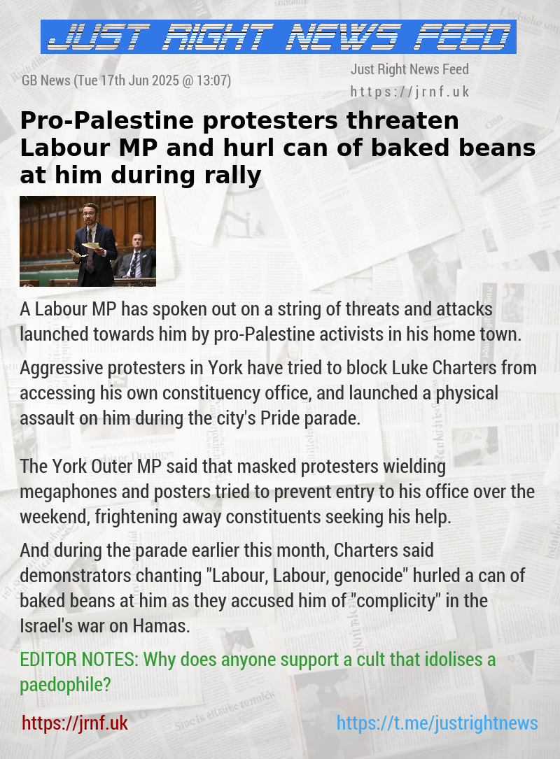 Pro—Palestine protesters threaten Labour MP and hurl can of baked beans at him during rally