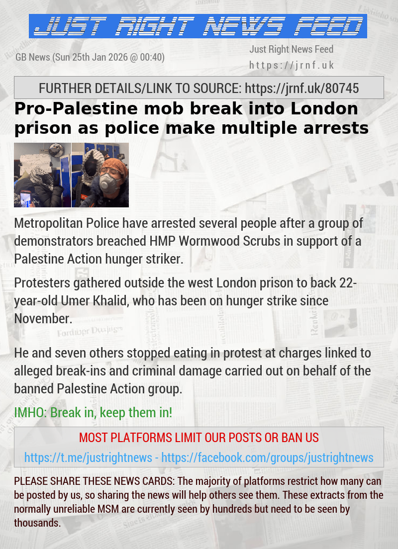 Pro—Palestine mob break into London prison as police make multiple arrests