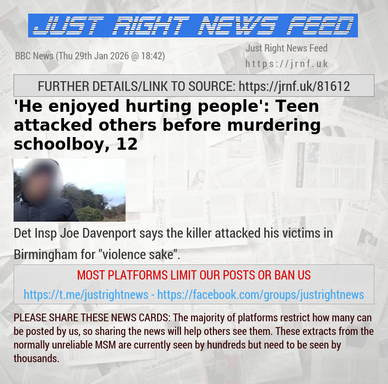 ’He enjoyed hurting people’: Teen attacked others before murdering schoolboy, 12