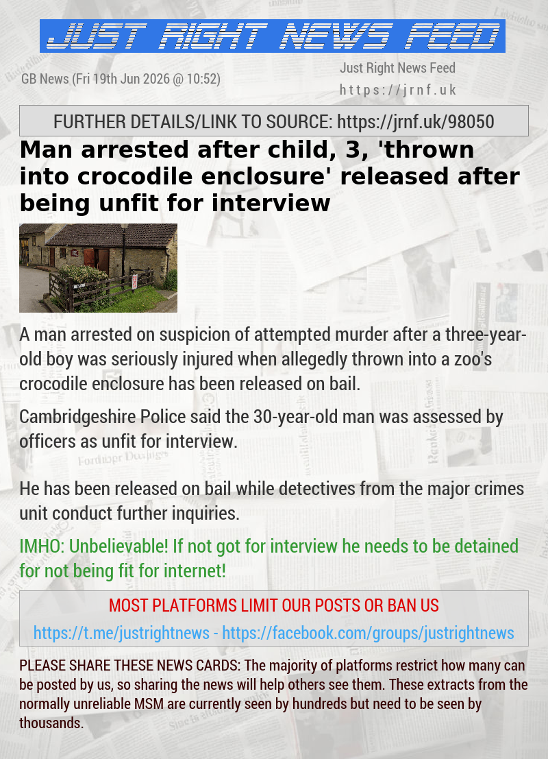 Man arrested after child, 3, ’thrown into crocodile enclosure’ released after being unfit for interview