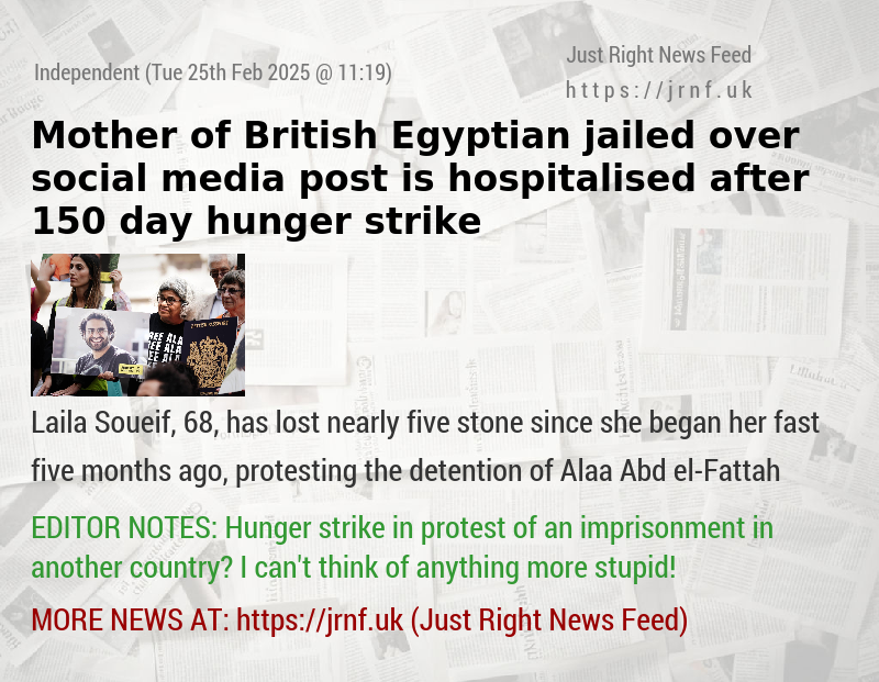 Mother of jailed Egyptian—British dissident hospitalised after 150 day hunger strike