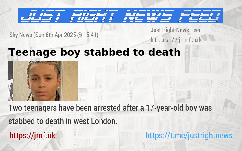 Teenage boy stabbed to death