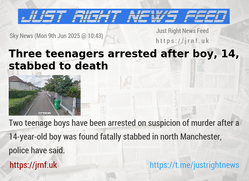 Three teenagers arrested after boy, 14, stabbed to death