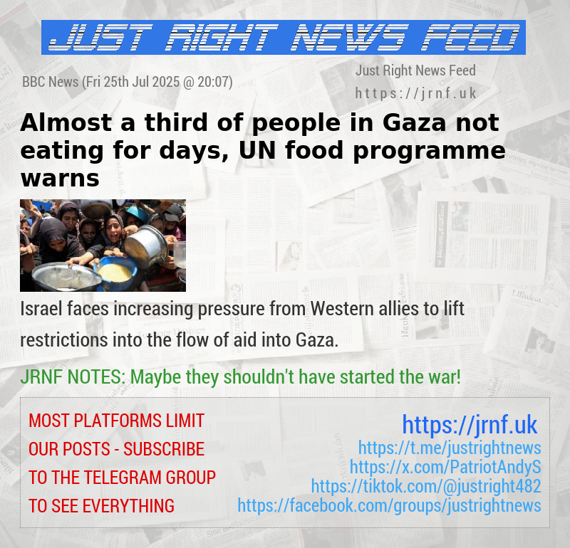 Almost a third of people in Gaza not eating for days, UN food programme warns