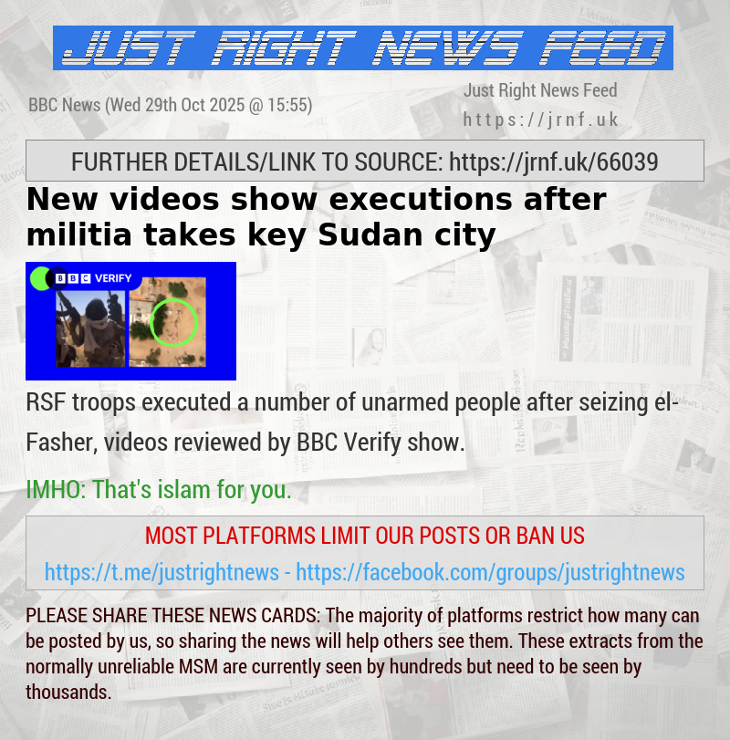 New videos show executions after militia takes key Sudan city