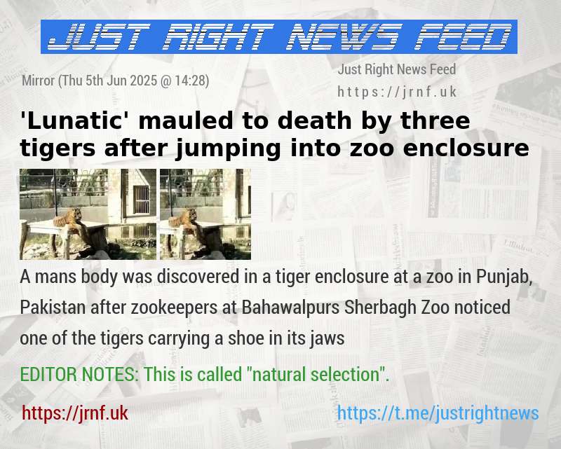 ’Lunatic’ mauled to death by three tigers after jumping into zoo enclosure