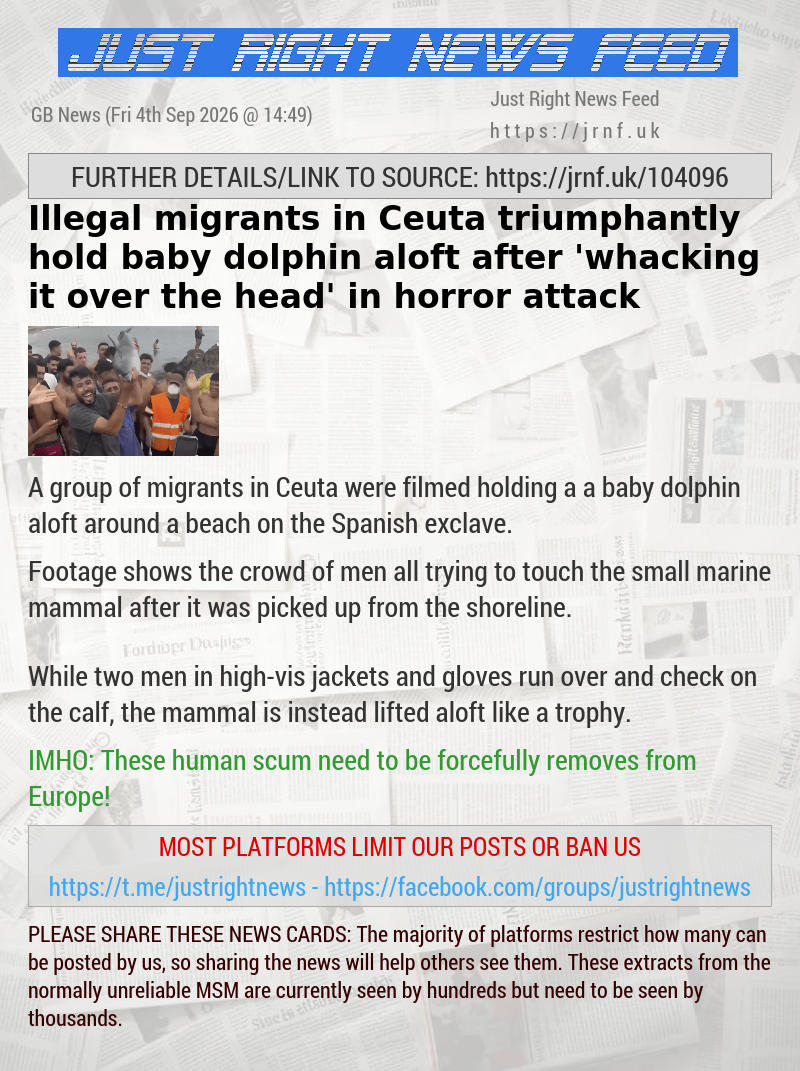 Illegal migrants in Ceuta triumphantly hold baby dolphin aloft after ‘whacking it over the head’ in horror attack