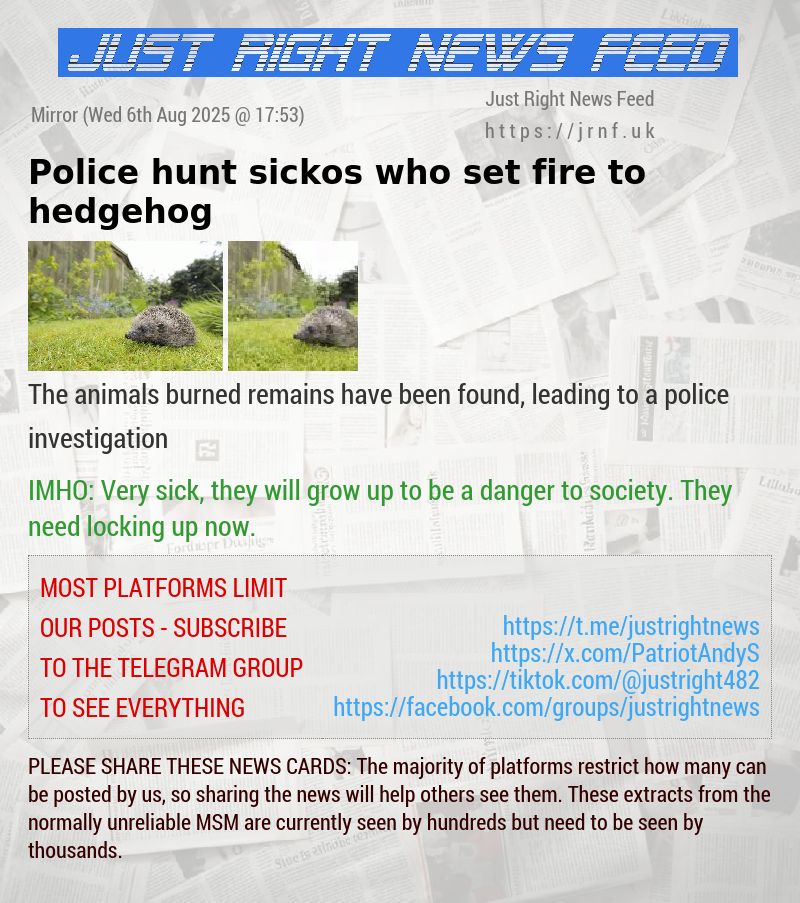 Police hunt sickos who set fire to hedgehog