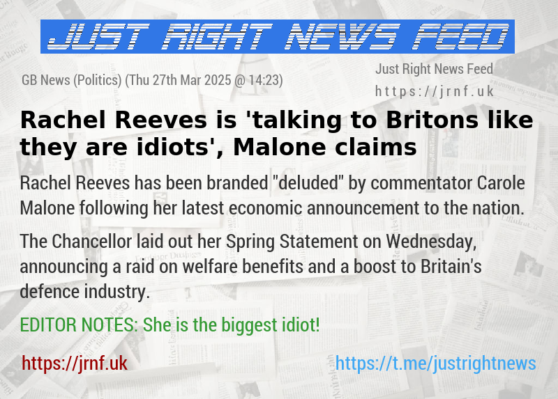 Rachel Reeves is ’talking to Britons like they are idiots’, Malone claims