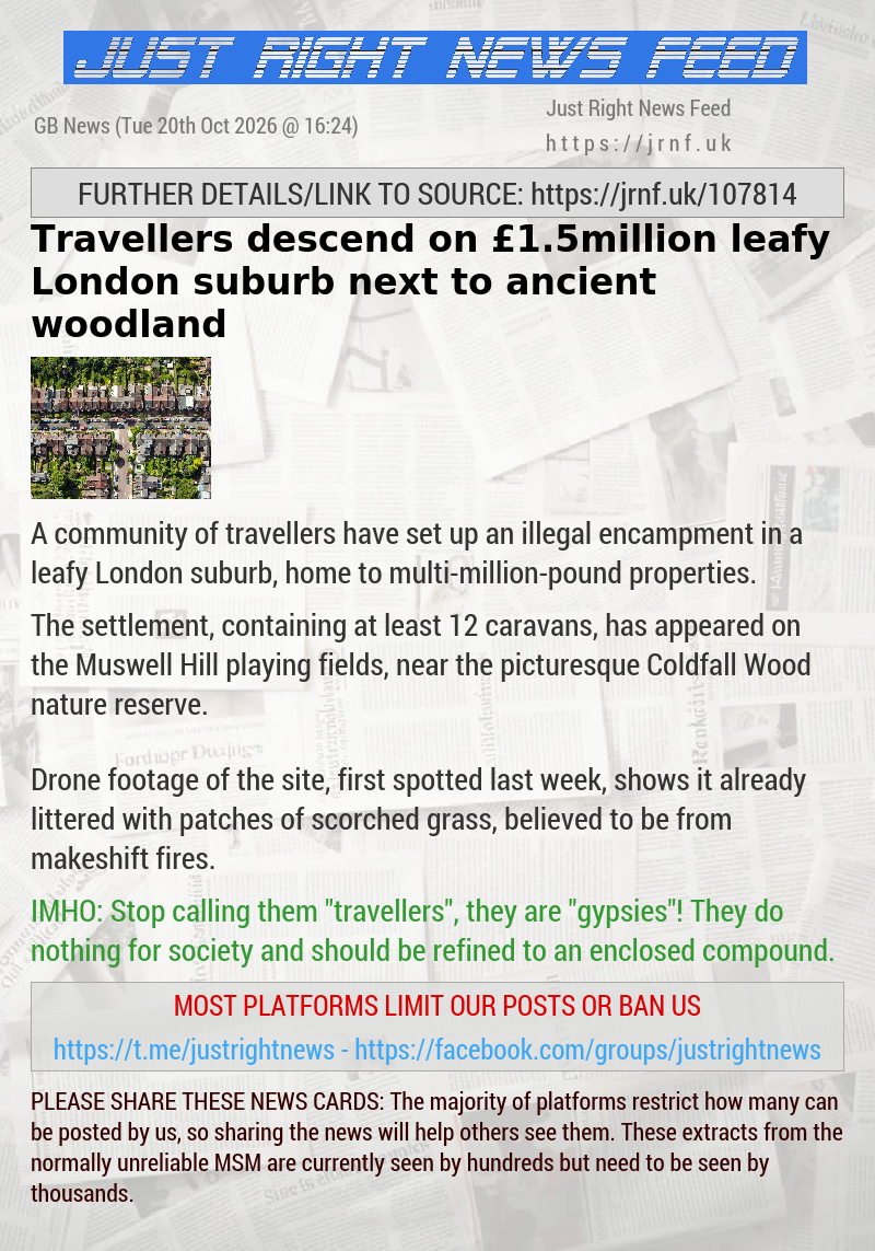Travellers descend on &pound;1.5million leafy London suburb next to ancient woodland
