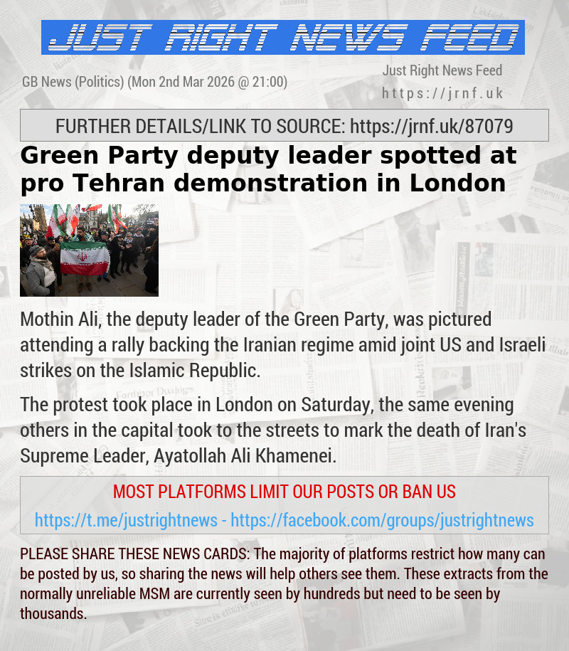 Green Party deputy leader spotted at pro—Tehran demonstration in London
