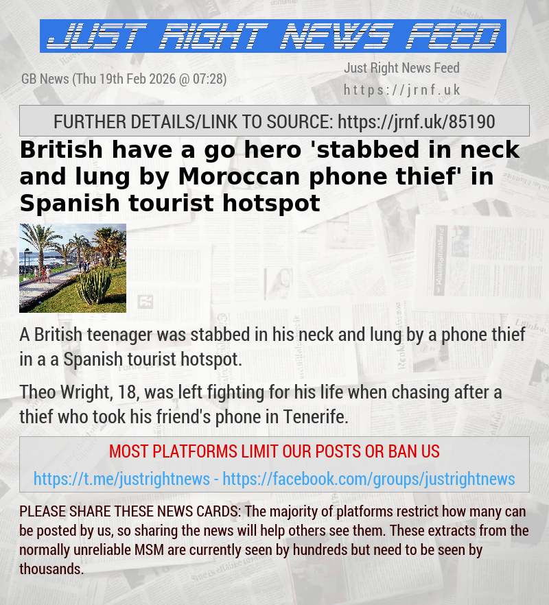 British have—a—go hero ’stabbed in neck and lung by Moroccan phone thief’ in Spanish tourist hotspot