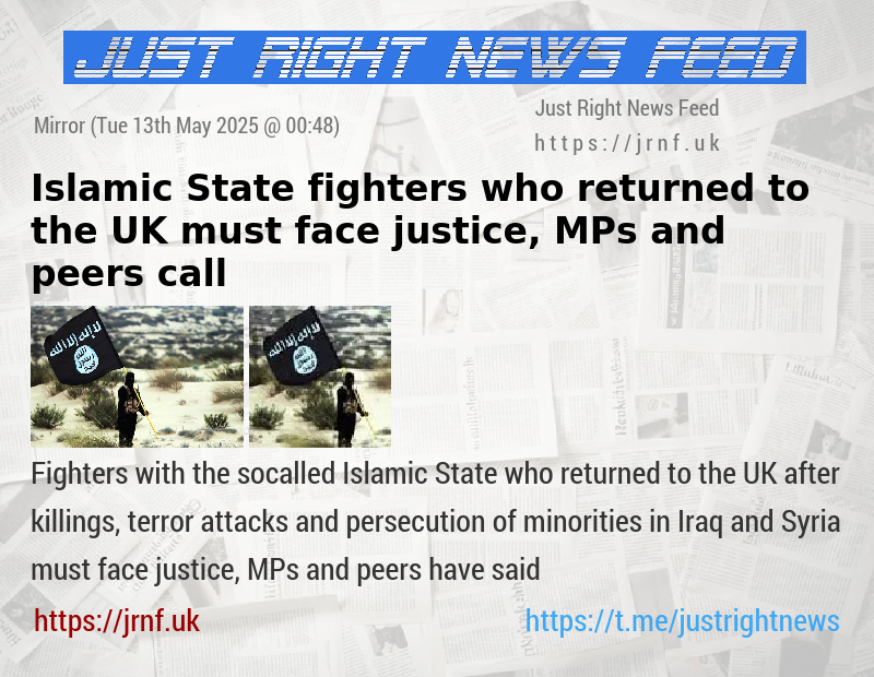 Islamic State fighters who returned to the UK must face justice, MPs and peers call