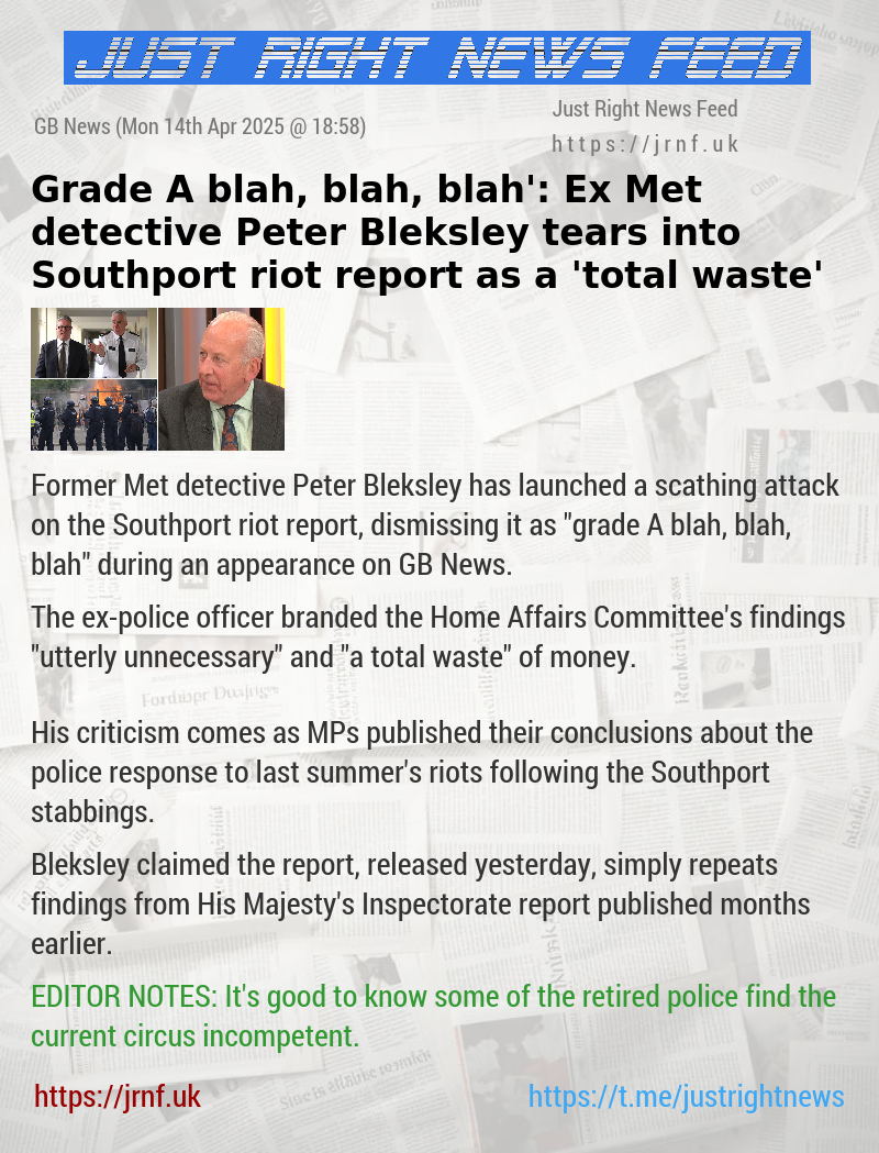 ‘Grade A blah, blah, blah’: Ex—Met detective Peter Bleksley tears into Southport riot report as a ’total waste’