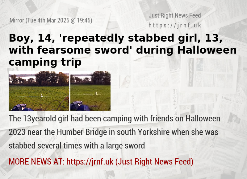 Boy, 14, ’repeatedly stabbed girl, 13, with fearsome sword’ during Halloween camping trip