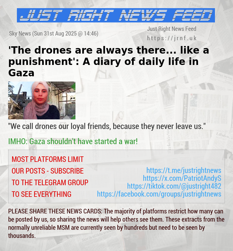 ’The drones are always there... like a punishment’: A diary of daily life in Gaza