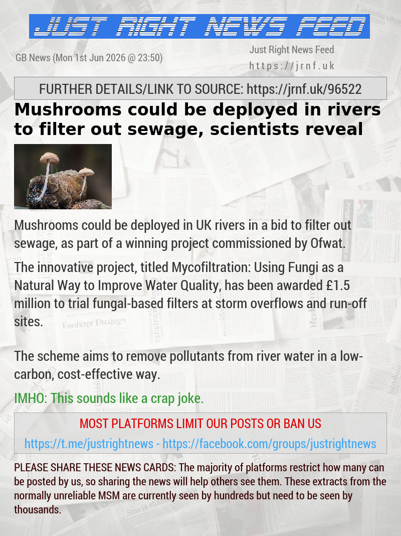 Mushrooms could be deployed in rivers to filter out sewage, scientists reveal