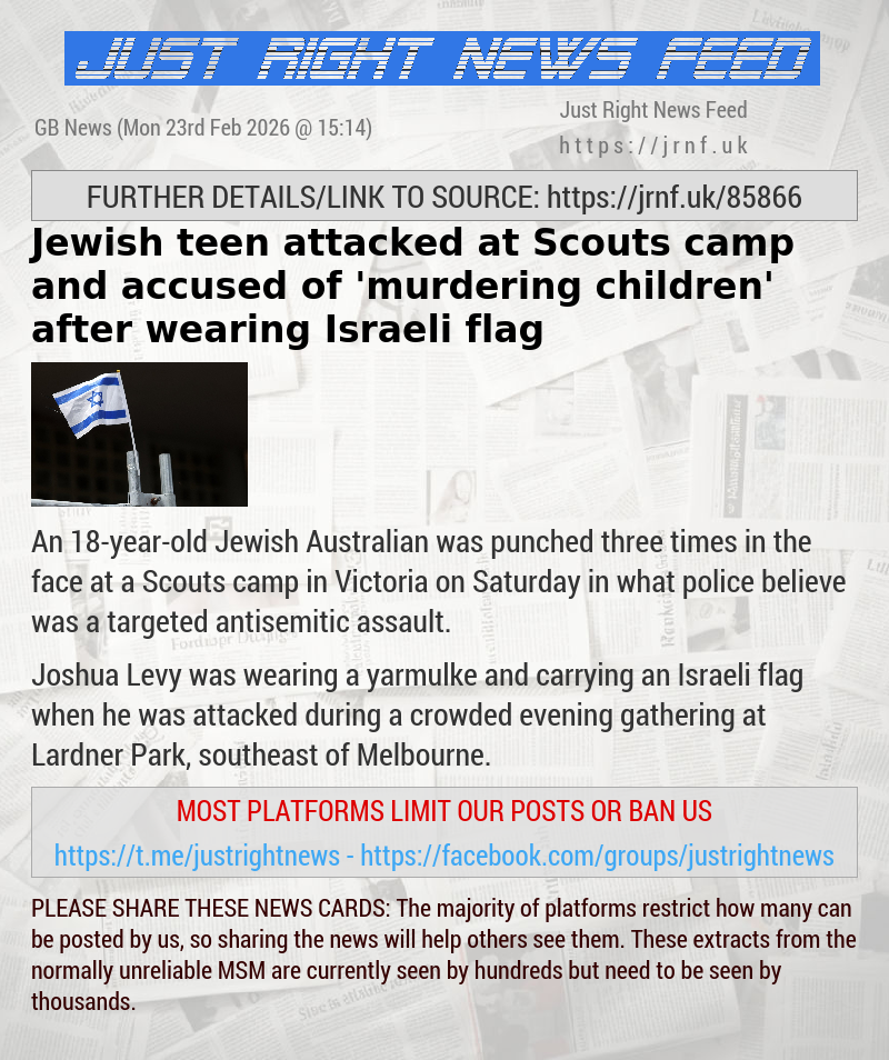 Jewish teen attacked at Scouts camp and accused of ’murdering children’ after wearing Israeli flag