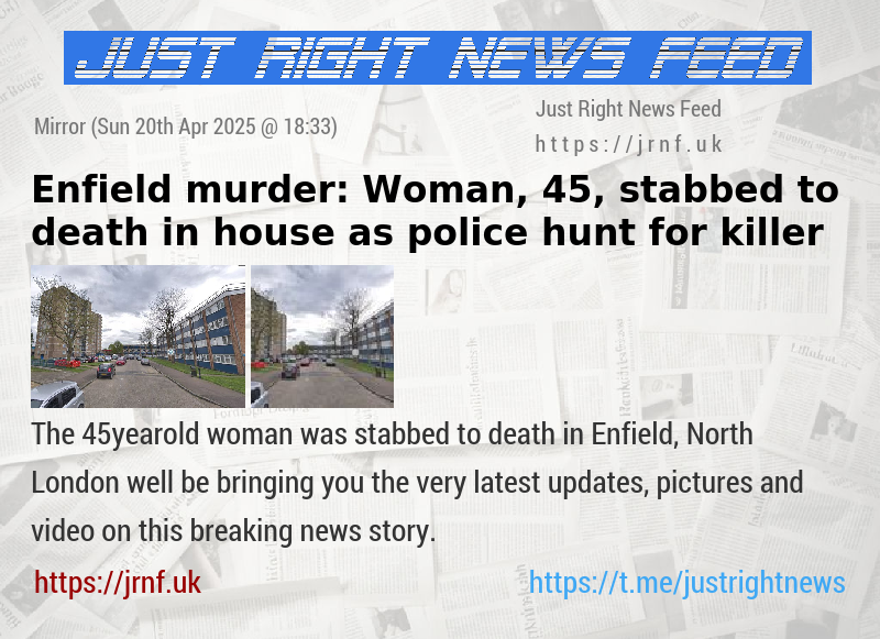 Enfield murder: Woman, 45, stabbed to death in house as police hunt for killer