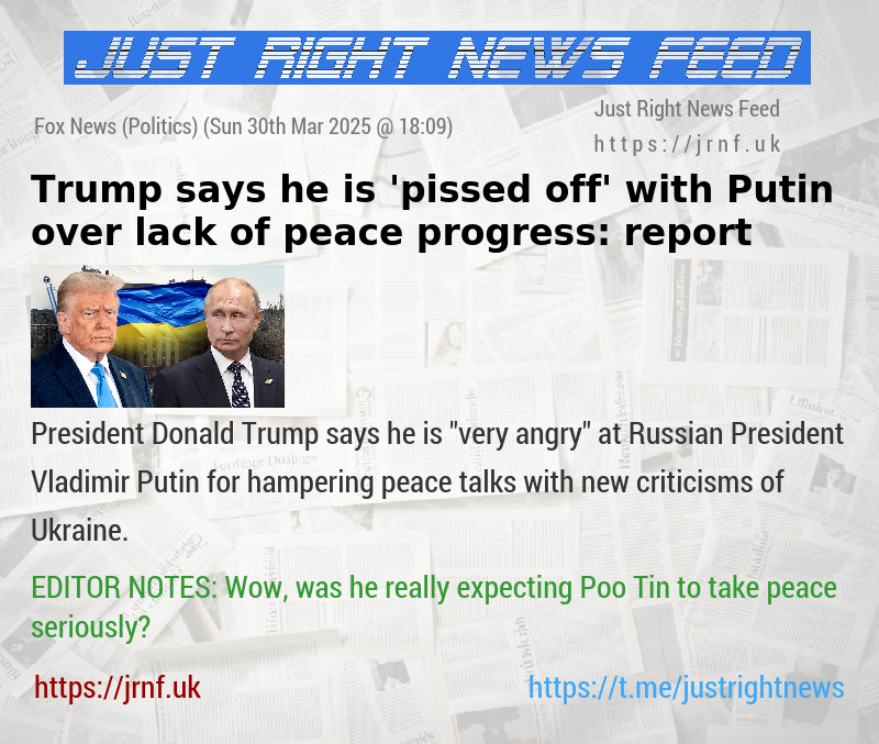Trump says he is ’pissed off’ with Putin over lack of peace progress: report