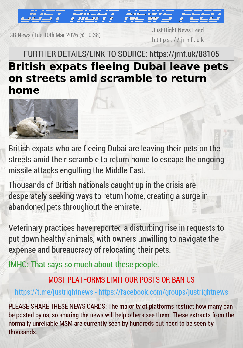 British expats fleeing Dubai leave pets on streets amid scramble to return home