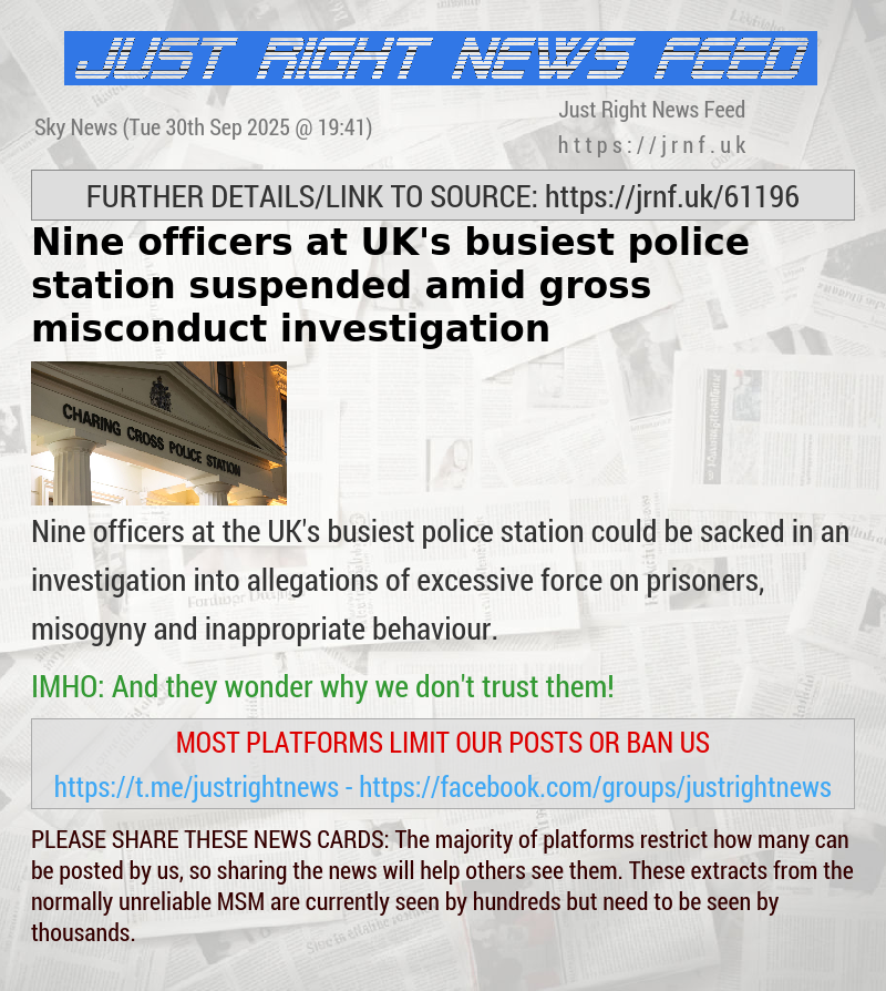 Nine officers at UK’s busiest police station suspended amid gross misconduct investigation