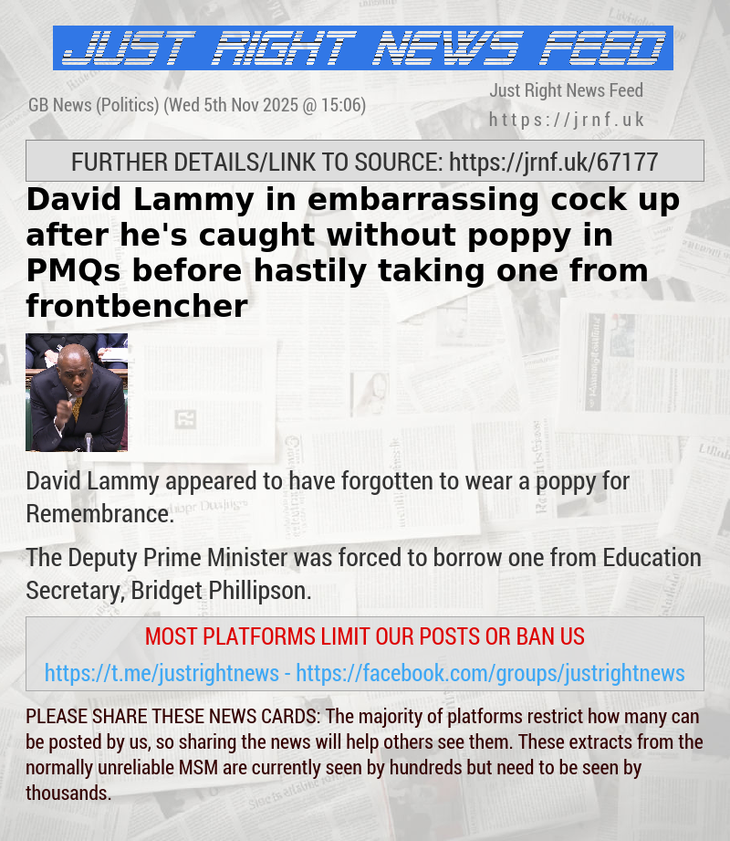 David Lammy in embarrassing cock—up after he’s caught without poppy in PMQs before hastily taking one from frontbencher