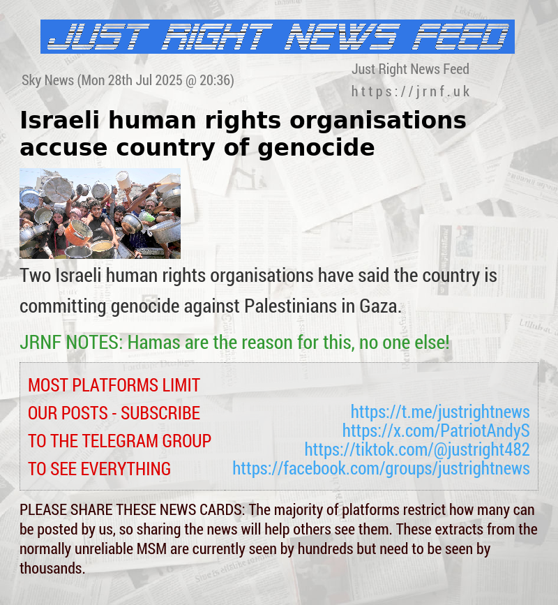 Israeli human rights organisations accuse country of genocide
