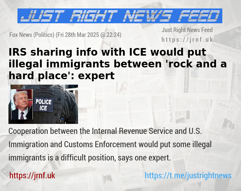 IRS sharing info with ICE would put illegal immigrants between ’rock and a hard place’: expert