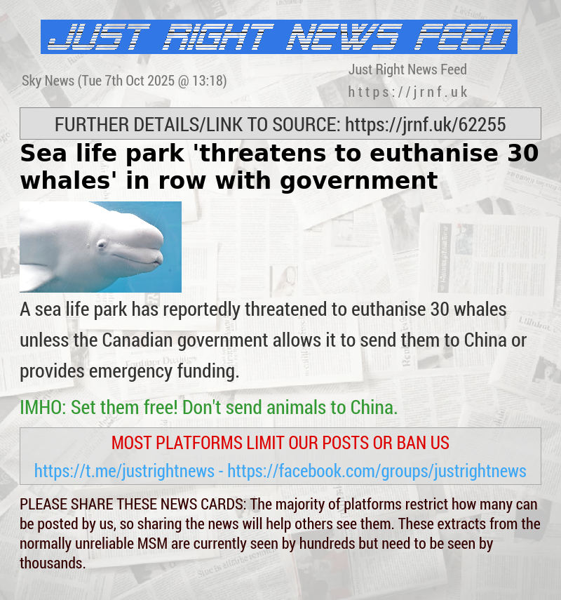 Sea life park ’threatens to euthanise 30 whales’ in row with government