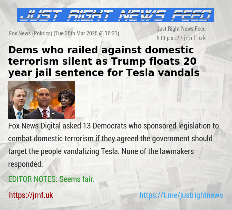 Dems who railed against domestic terrorism silent as Trump floats 20—year jail sentence for Tesla vandals