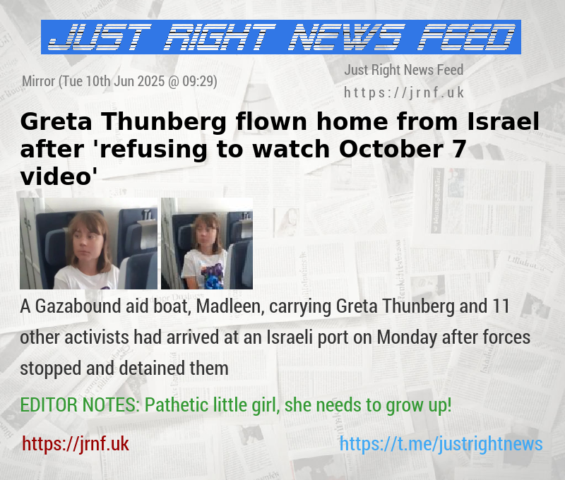 Greta Thunberg flown home from Israel after ’refusing to watch October 7 video’