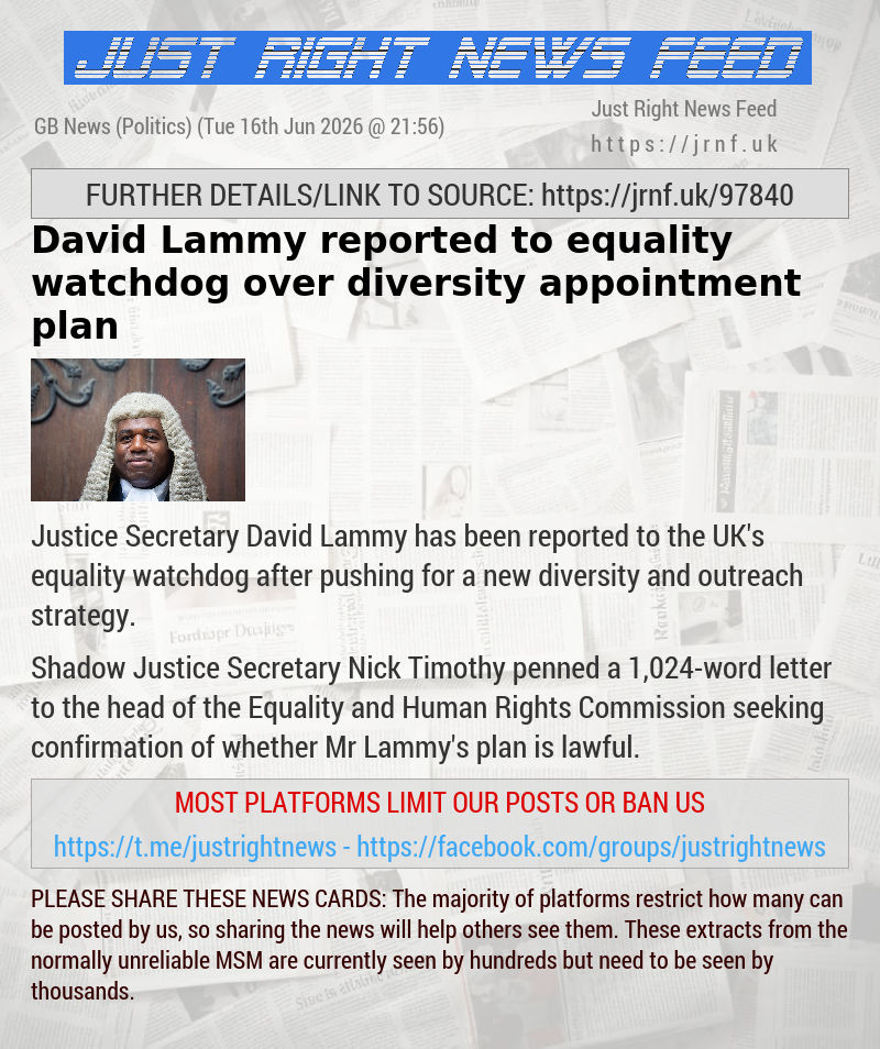 David Lammy reported to equality watchdog over diversity appointment plan