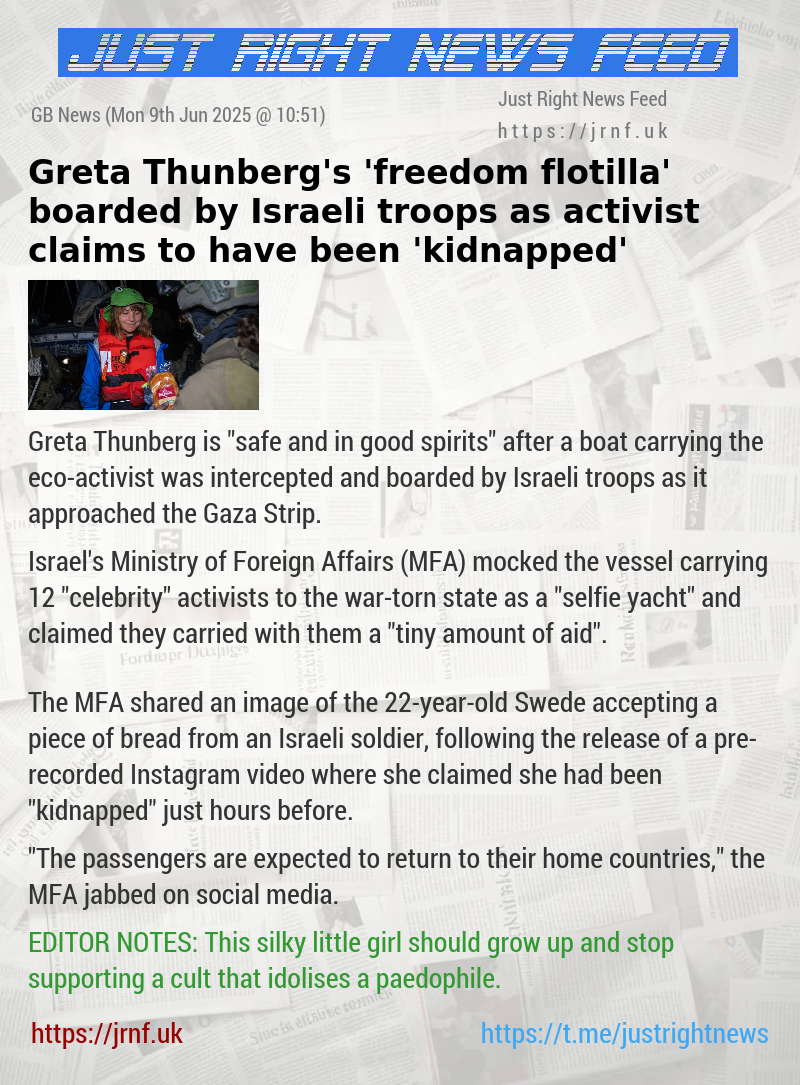 Greta Thunberg’s ’freedom flotilla’ boarded by Israeli troops as activist claims to have been ’kidnapped’
