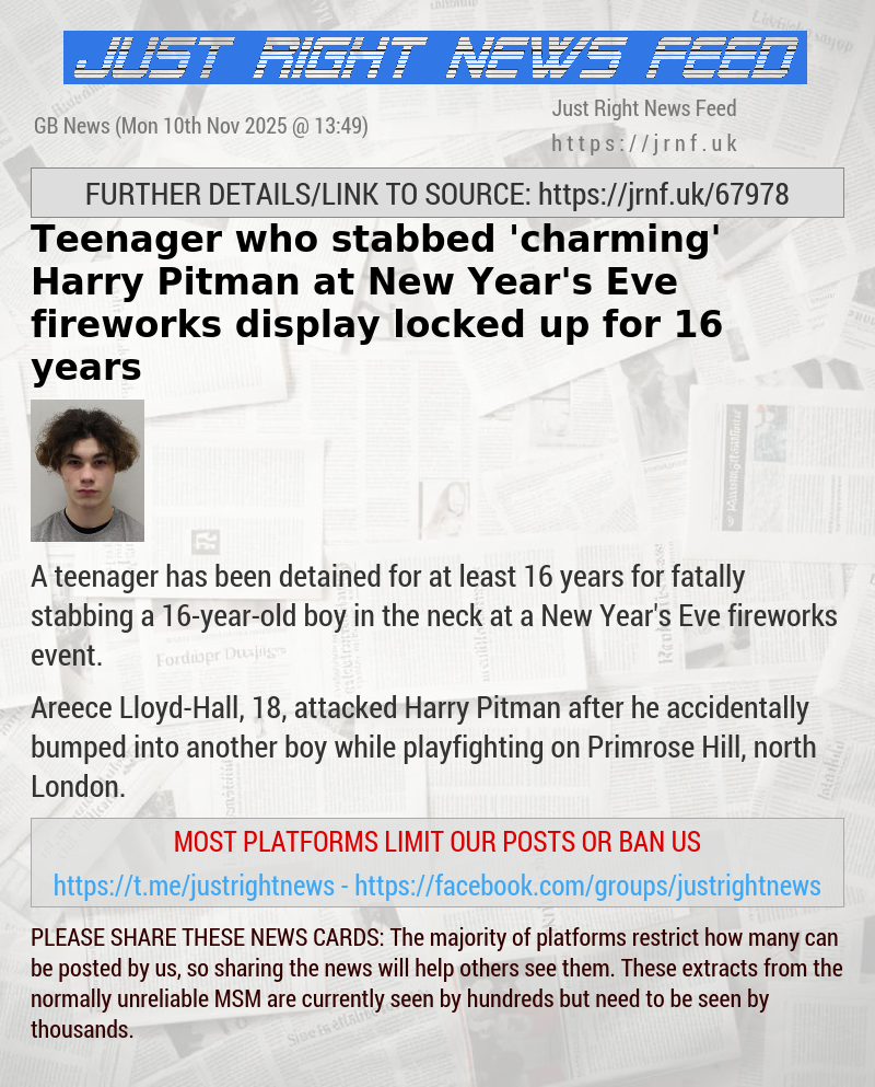 Teenager who stabbed ’charming’ Harry Pitman at New Year’s Eve fireworks display locked up for 16 years