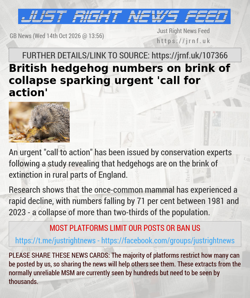 British hedgehog numbers on brink of collapse sparking urgent ’call for action’