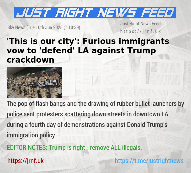 ’This is our city’: Furious immigrants vow to ’defend’ LA against Trump crackdown