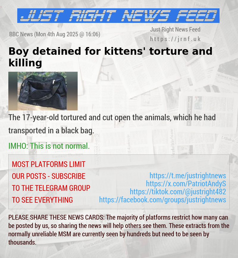 Boy detained for kittens’ torture and killing