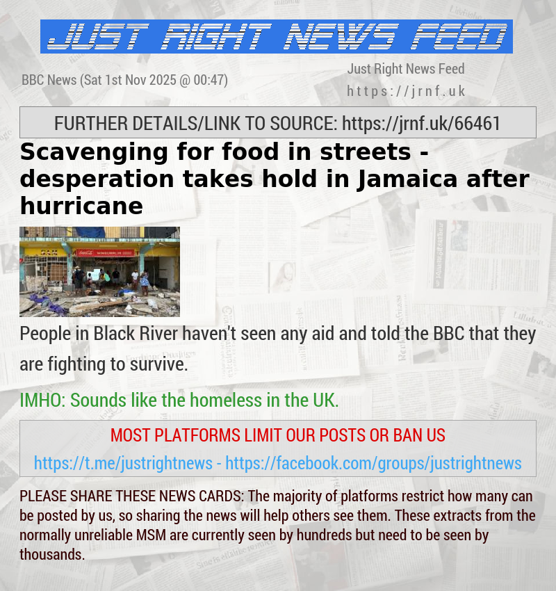 Scavenging for food in streets — desperation takes hold in Jamaica after hurricane
