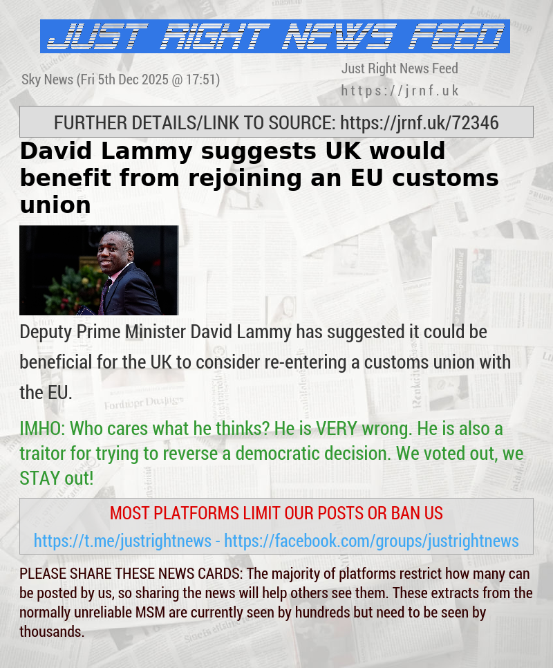 David Lammy suggests UK would benefit from rejoining an EU customs union