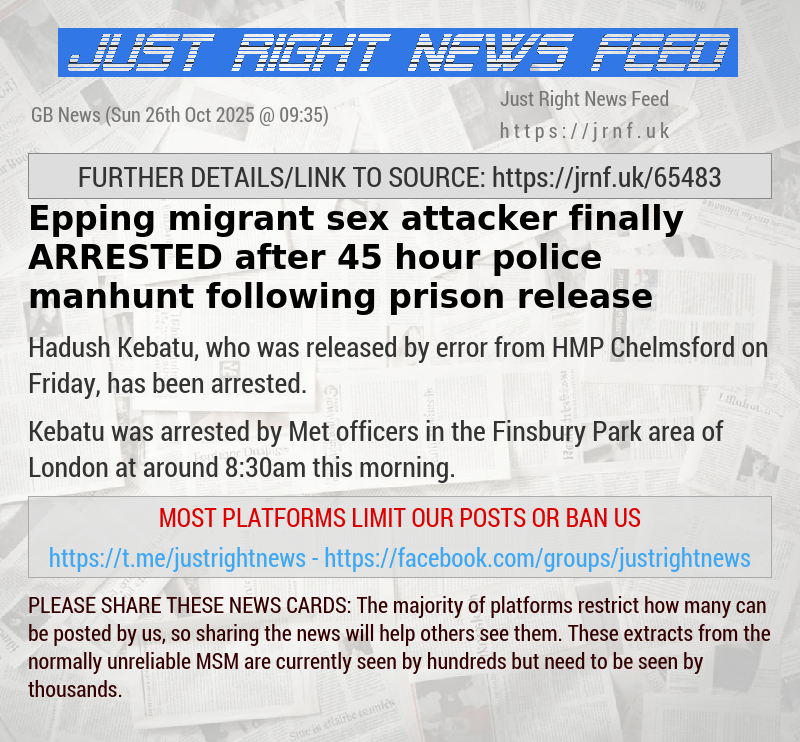 Epping migrant sex attacker finally ARRESTED after 45 hour police manhunt following prison release