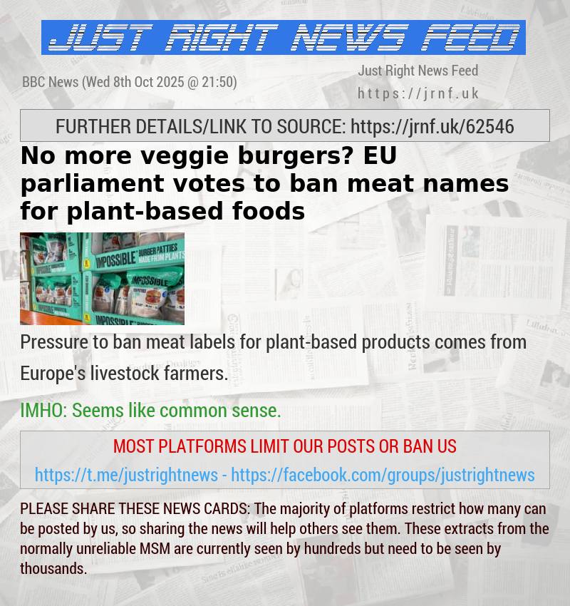 No more veggie burgers? EU parliament votes to ban meat names for plant—based foods