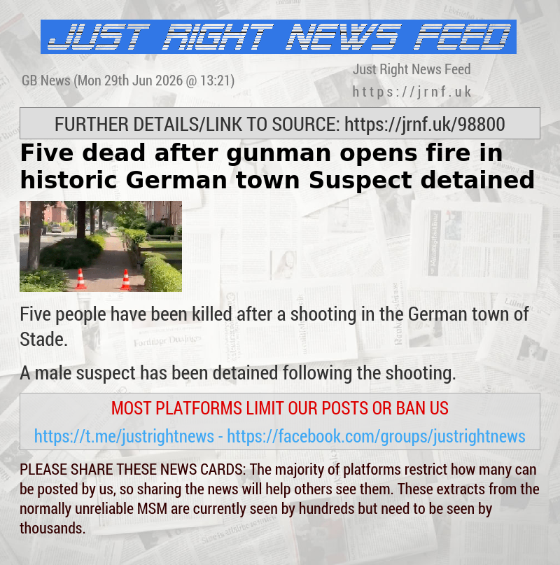 Five dead after gunman opens fire in historic German town — Suspect detained