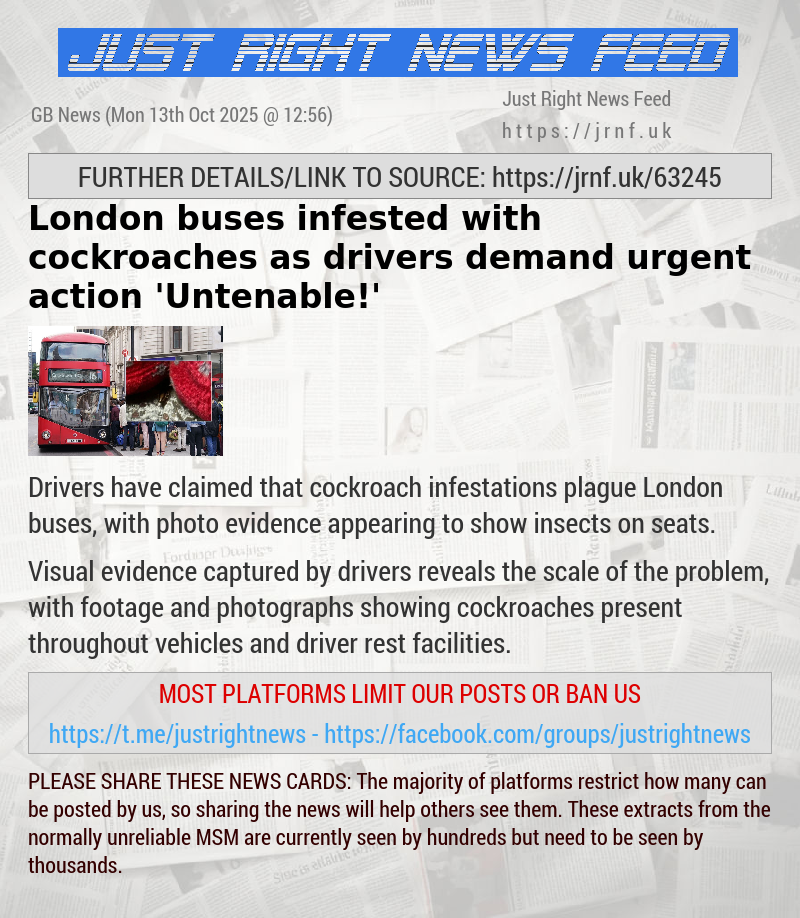London buses infested with cockroaches as drivers demand urgent action — ’Untenable!’
