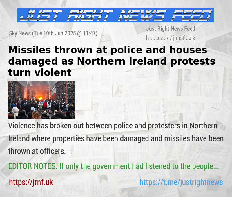 Missiles thrown at police and houses damaged as Northern Ireland protests turn violent